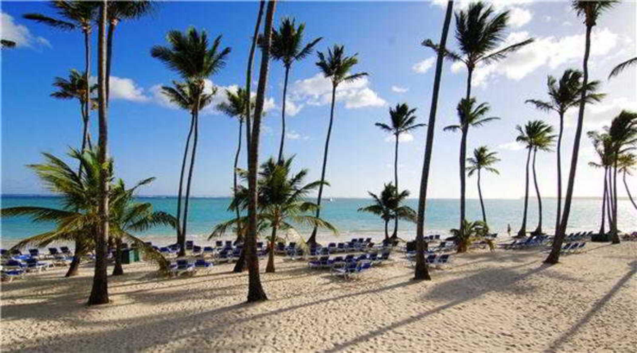 Barcelo Bavaro Beach (Adults Only) Punta Cana Luaran gambar Punta Cana